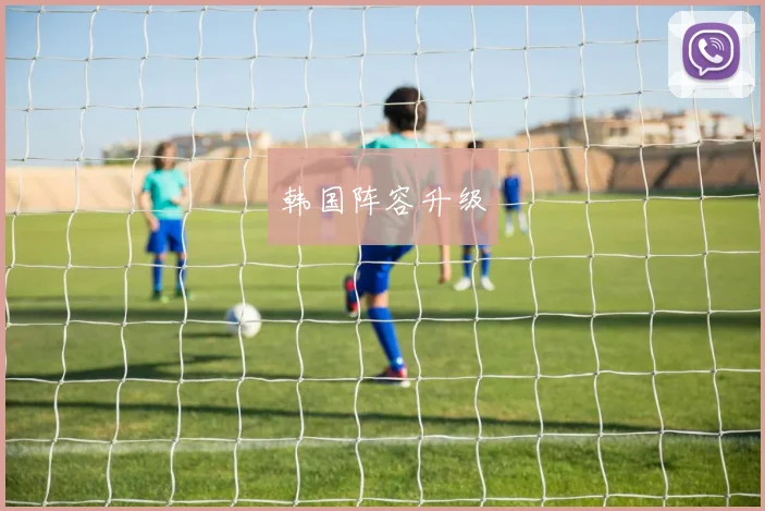 开云全线app登陆 - 韩国阵容升级