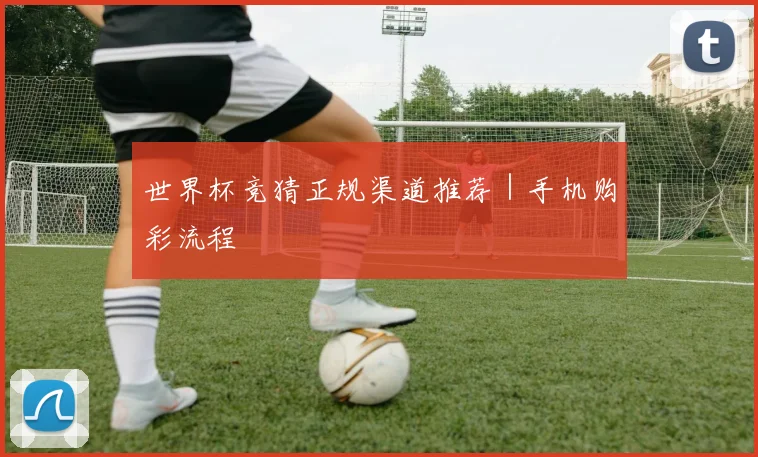 世界杯竞猜正规渠道推荐｜手机购彩流程
