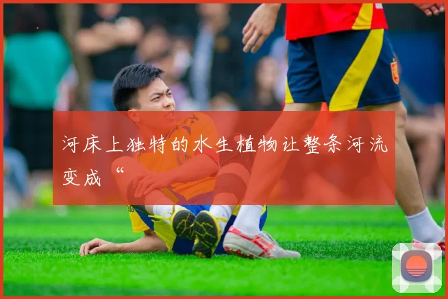河床上独特的水生植物让整条河流变成“