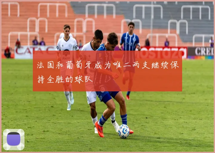 法国和葡萄牙成为唯二两支继续保持全胜的球队