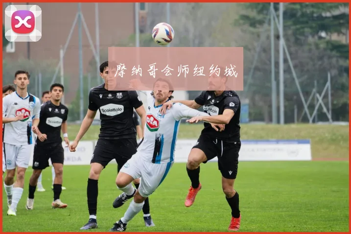 开云全线app登陆 - 摩纳哥会师纽约城