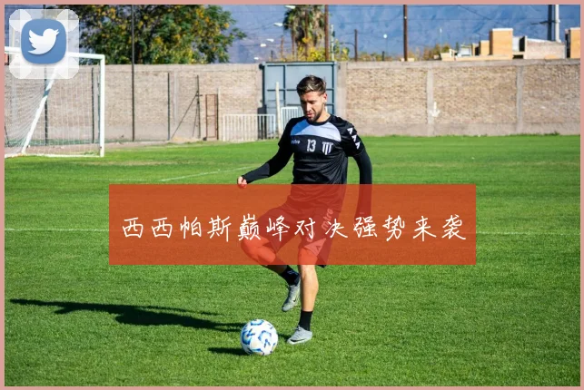 西西帕斯巅峰对决强势来袭