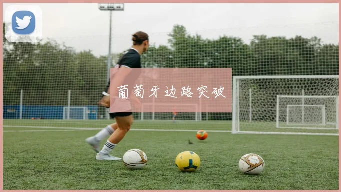 开云全线app登陆 - 葡萄牙边路突破