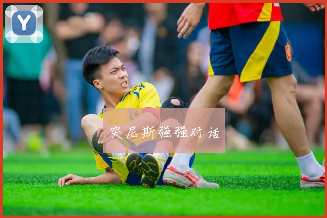 突尼斯强强对话
