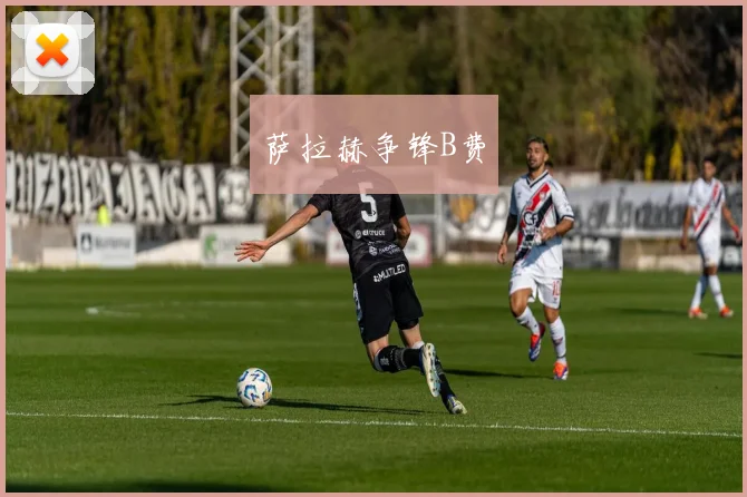 开云全线app登陆 - 萨拉赫争锋B费