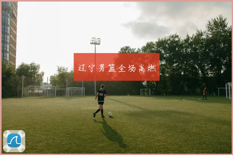 开云全线app登陆 - 辽宁男篮全场高燃