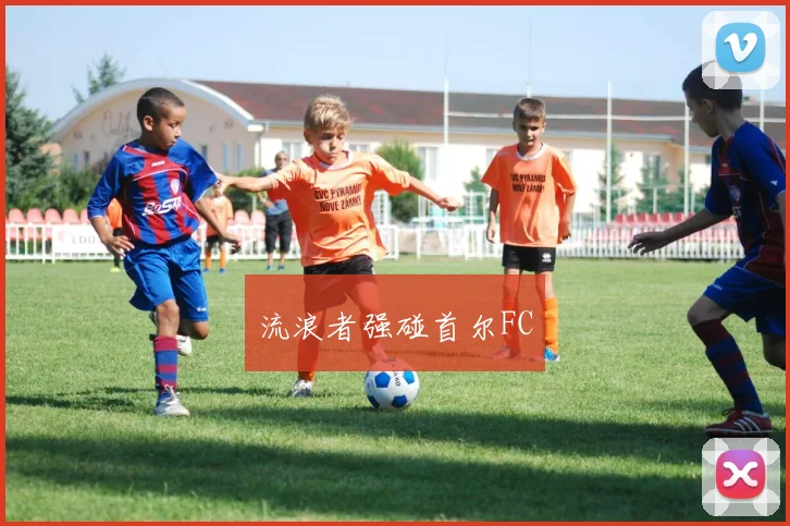 开云全线app登陆 - 流浪者强碰首尔FC