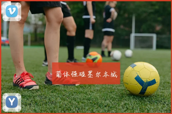 开云全线app登陆 - 葡体强碰墨尔本城