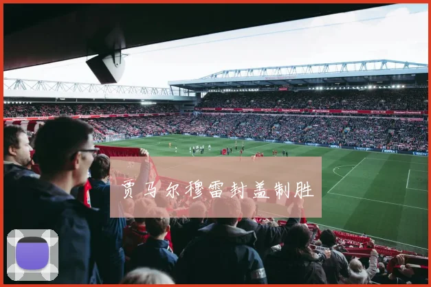 开云全线app登陆 - 贾马尔穆雷封盖制胜