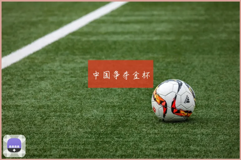 中国争夺金杯