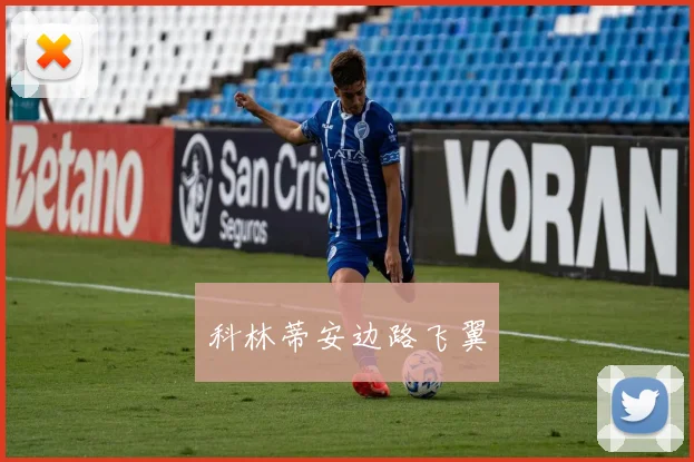 科林蒂安边路飞翼