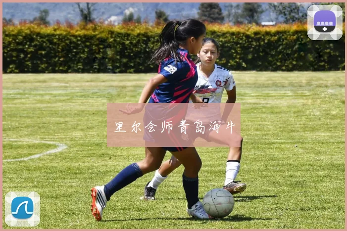 开云全线app登陆 - 里尔会师青岛海牛