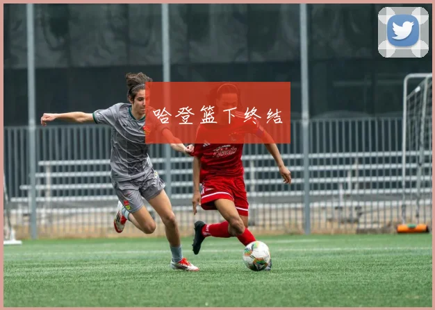哈登篮下终结
