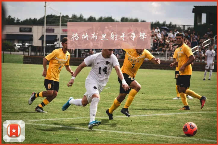 开云全线app登陆 - 格纳布里射手争锋