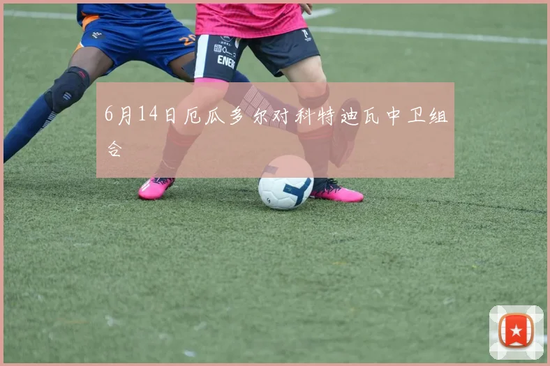 6月14日厄瓜多尔对科特迪瓦中卫组合