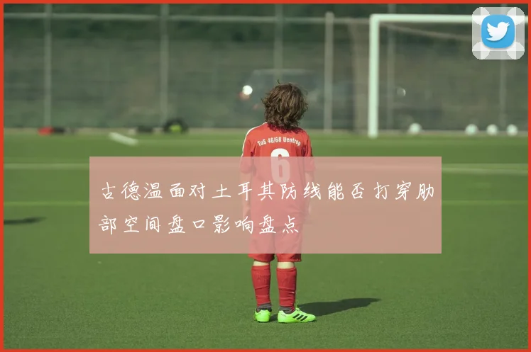 古德温面对土耳其防线能否打穿肋部空间盘口影响盘点