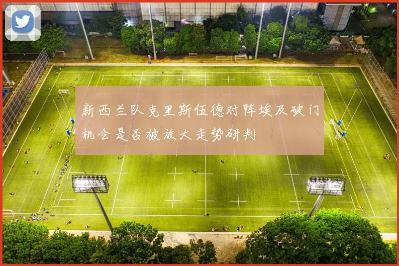新西兰队克里斯伍德对阵埃及破门机会是否被放大走势研判