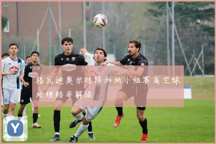 格瓦迪奥尔对阵加纳小组赛高空球处理赔率解读
