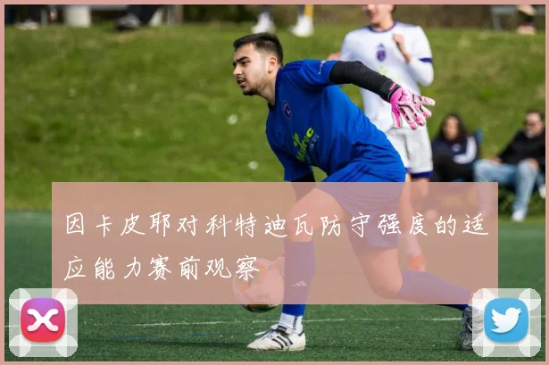 因卡皮耶对科特迪瓦防守强度的适应能力赛前观察