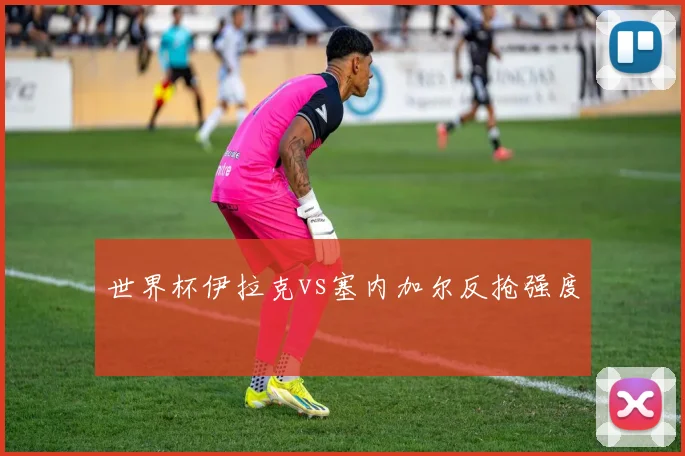 世界杯伊拉克vs塞内加尔反抢强度