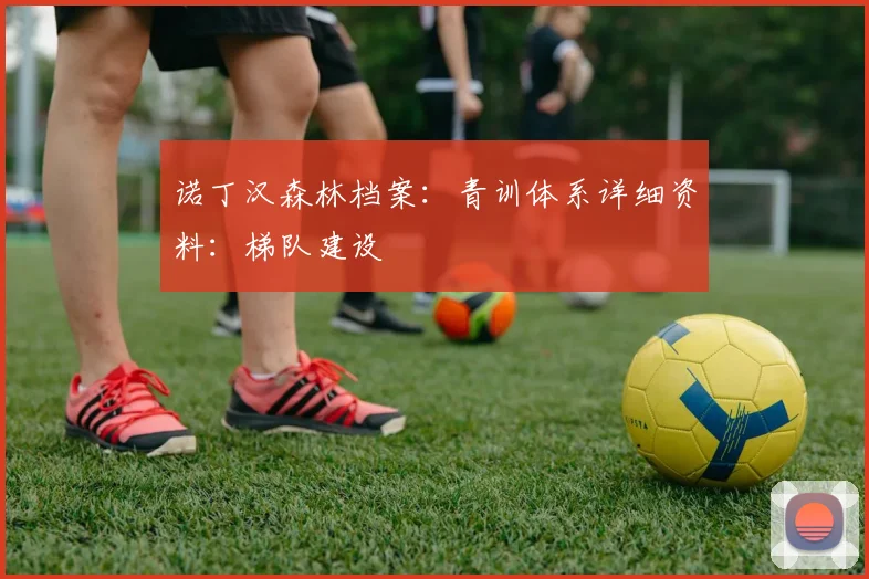 诺丁汉森林档案：青训体系详细资料：梯队建设